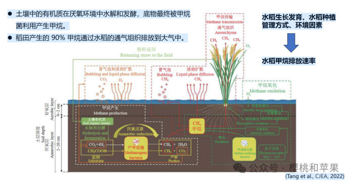 4d8859fc6a62be7cb9b69363ece8a090.png